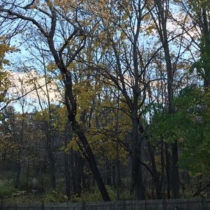 Meet your Posher, Matt